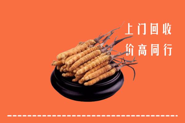 自贡市大安区回收冬虫夏草