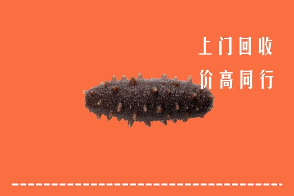 自贡市大安区回收海参
