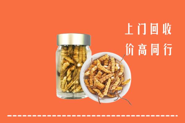 自贡市大安区回收冬虫夏草